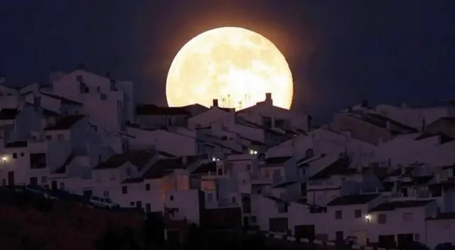 La luna llena de mayo es conocida como “la luna de las flores”. La luna llena de mayo es conocida como “la luna de las flores”.