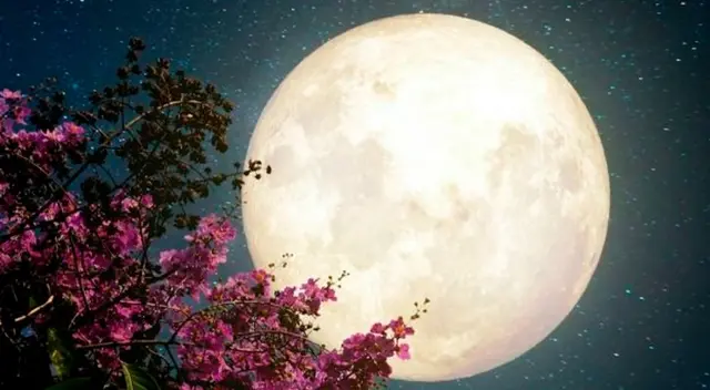 Super luna de flores.