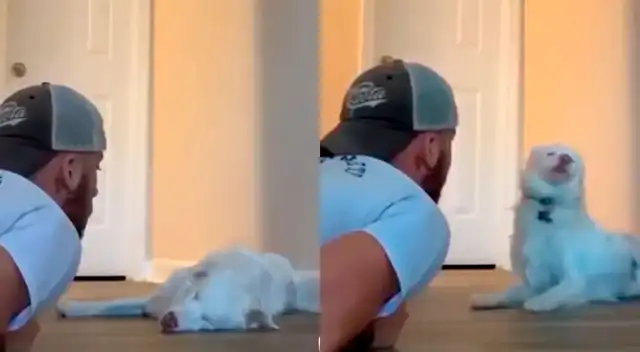 El joven conmovió a todos con el tierno video de su perrita. El joven conmovió a todos con el tierno video de su perrita.