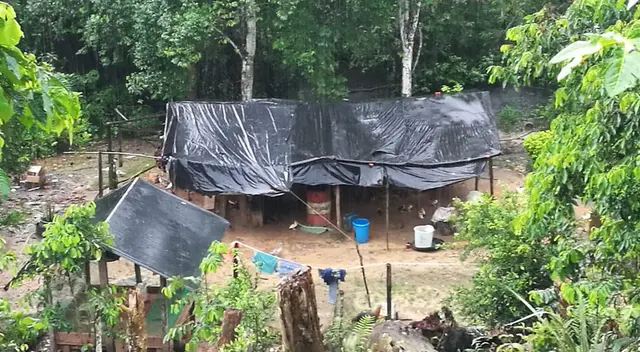 La erradicación se dio entre los días 5 y 8 de mayo. La erradicación se dio entre los días 5 y 8 de mayo.