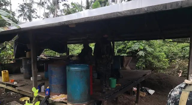 La erradicación se dio entre los días 5 y 8 de mayo. La erradicación se dio entre los días 5 y 8 de mayo.