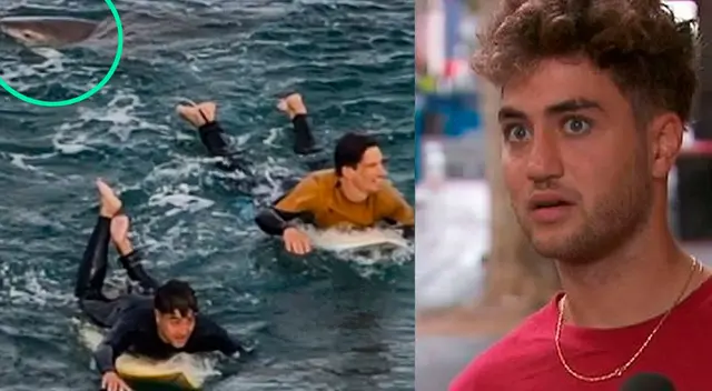 Los jóvenes lograron zafarse del tiburón. Los jóvenes lograron zafarse del tiburón.