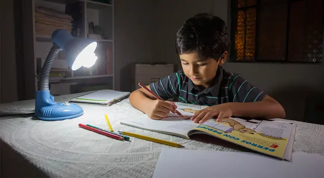 Las empresas de energía eléctrica no podrán cortar el servicio durante el Estado de Emergencia Las empresas de energía eléctrica no podrán cortar el servicio durante el Estado de Emergencia