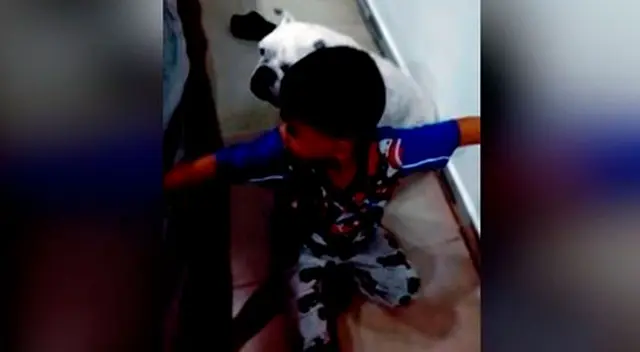 El menor no dudó en defender a su fiel compañero.