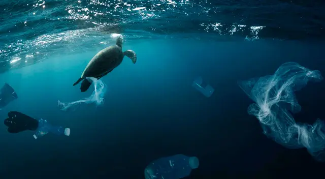 IGP señala que si el calentamiento global llega a sobrepasar los 1.5-2°C, los efectos serían irreversibles. IGP señala que si el calentamiento global llega a sobrepasar los 1.5-2°C, los efectos serían irreversibles.