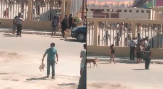 Roban pollos en Trujillo que eran para familias vulnerables