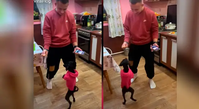 El perrito empezó a bailar con su dueño.