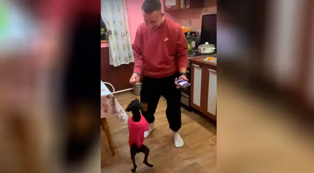 El perro cautivó a todos en YouTube.