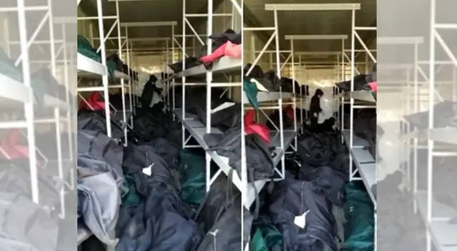 Cadáveres en container no pueden ser identificados. Cadáveres en container no pueden ser identificados.