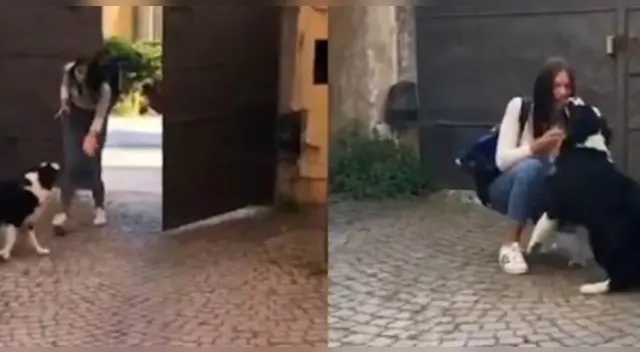 El reencuentro de la estudiante de intercambio y su adorable mascota ha enternecido a los internautas en Italia. El reencuentro de la estudiante de intercambio y su adorable mascota ha enternecido a los internautas en Italia.