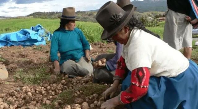 BONO RURAL: Conoce si quieres beneficiario con tu DNI. BONO RURAL: Conoce si quieres beneficiario con tu DNI.