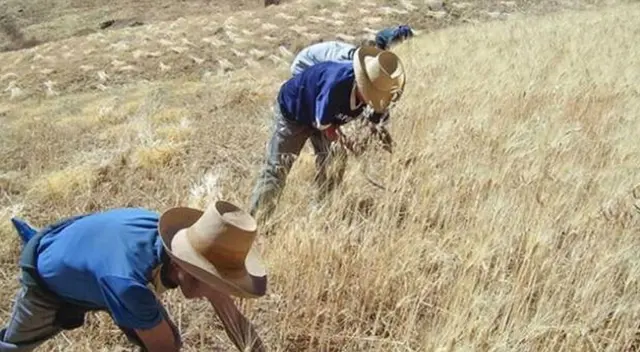 BONO RURAL: Conoce si quieres beneficiario con tu DNI. BONO RURAL: Conoce si quieres beneficiario con tu DNI.