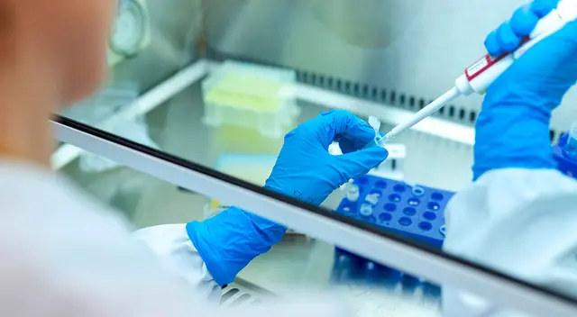 Clínica clandestina realizaba pruebas rápidas de coronavirus. Clínica clandestina realizaba pruebas rápidas de coronavirus.