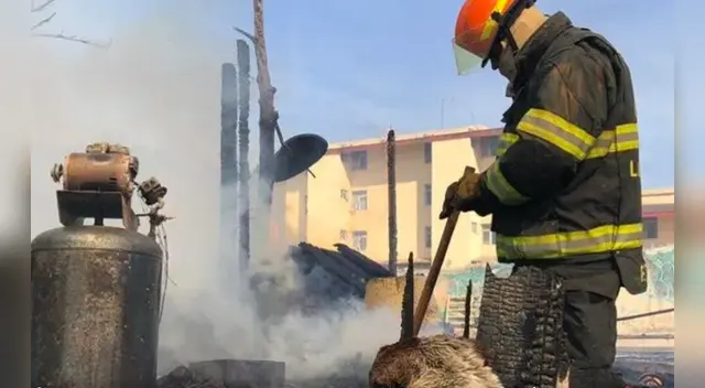 El perro corre de un lado a otro sin poder creer que perdió su hogar. El perro corre de un lado a otro sin poder creer que perdió su hogar.