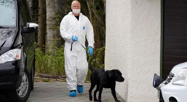 Perros ayudarían a detectar el coronavirus en personas asintomáticas.