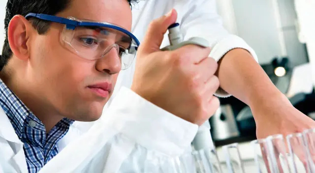 Las ciencias en los animales podría también convertirse en el punto de inicio para la contención de la pandemia.