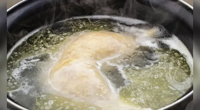 caldo de pollo caldo de pollo