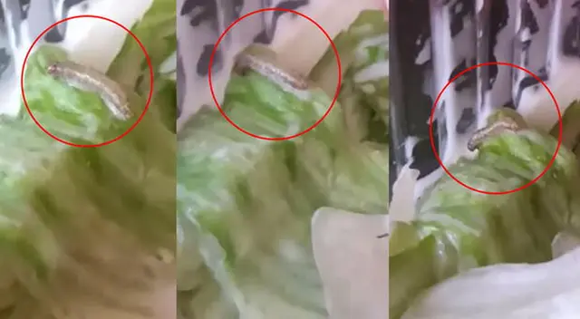 La empresa dice que se demoró en responder debido a un “proceso interno de investigación”. La empresa dice que se demoró en responder debido a un “proceso interno de investigación”.