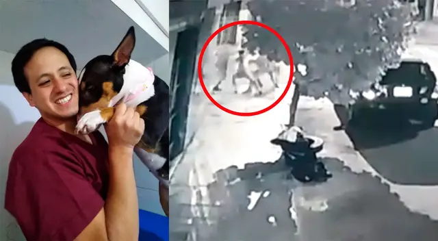 Veterinario se encuentra grave después de ser acuchillado por delincuentes