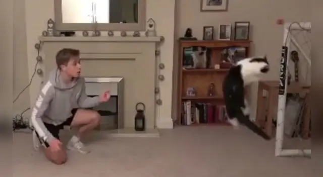 El gato y su dueño jugaron un partido de fútbol durante la cuarentena.