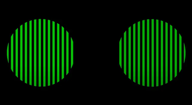 La ilusión Munker White La ilusión Munker White