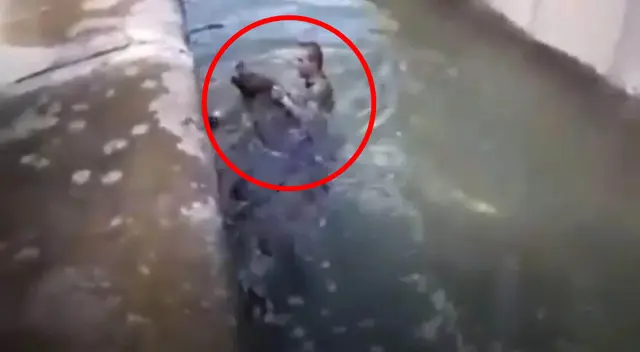 El hombre ha sido acusado de maltrato animal.