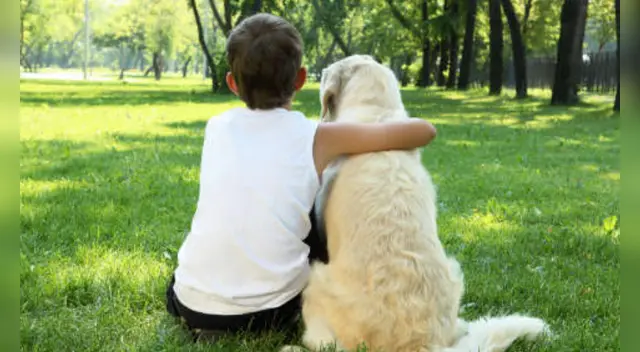 El menor esperó junto al perro hasta que llegaran los veterinarios de su localidad en Turquía.