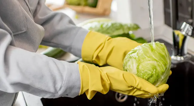 La experta señaló la importancia de lavar los alimentos con abundante agua.