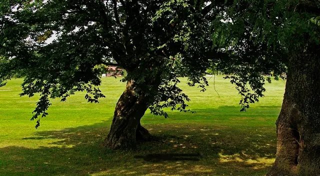 Un hombre se suicida en una parque de San Martín de Porres Un hombre se suicida en una parque de San Martín de Porres