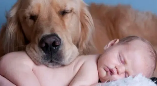 La curiosa reacción del perrito con un bebé a enternecido a todos en las redes sociales.
