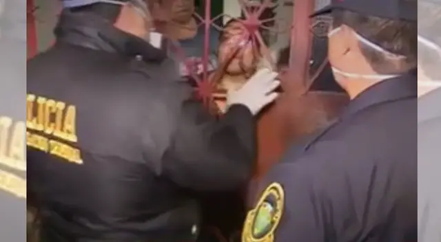 Pacientes con COVID-19 fueron hallados en San Martín de Porres.