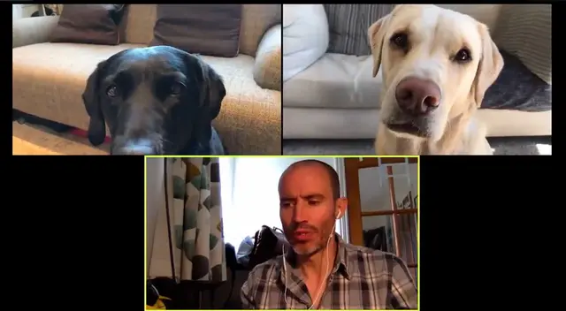 Videollamada es todo un éxito en las redes sociales. Videollamada es todo un éxito en las redes sociales.