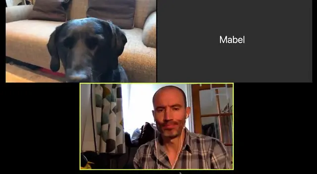 Mabel generó las risas de los usuarios tras apagar su cámara. Mabel generó las risas de los usuarios tras apagar su cámara.