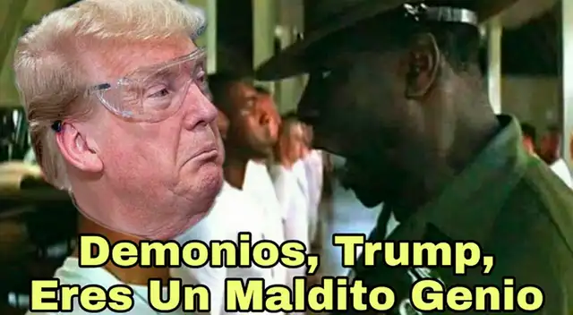 Memes Donald Trump en Twitter.