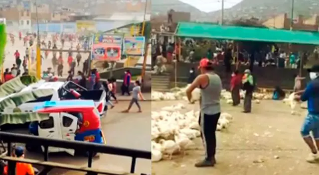 Saquean un almacén de pollos en Carabayllo Saquean un almacén de pollos en Carabayllo