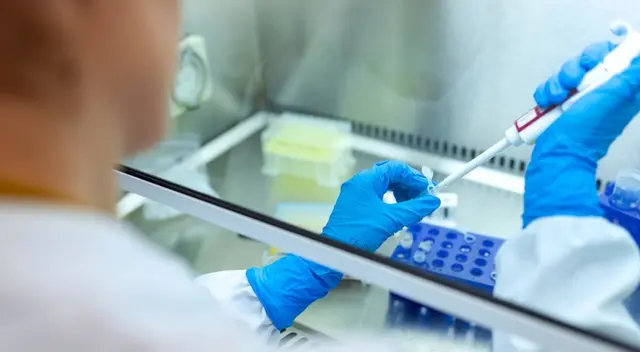 El adenovirus ha sido diseñado genéticamente. El adenovirus ha sido diseñado genéticamente.