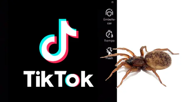 Usuarios de TikTok cuestionan la broma pesada. Usuarios de TikTok cuestionan la broma pesada.