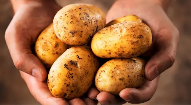 ¡Día Nacional de la papa!