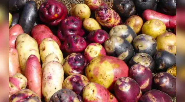 La papa contiene gran cantidad de valores nutricionales que te ayudarán a estar saludable durante la cuarentena.