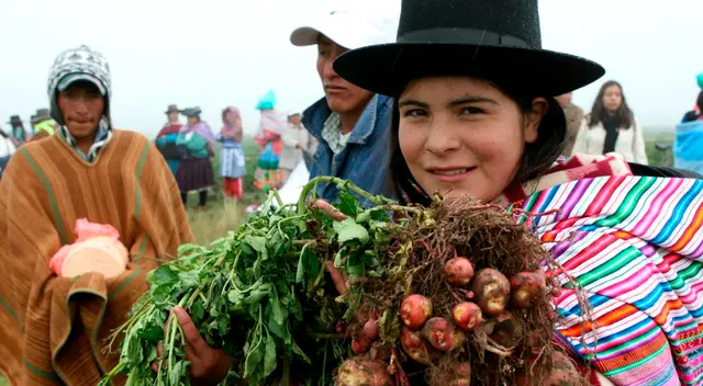 El mundo se rinde ante la papa. El mundo se rinde ante la papa.