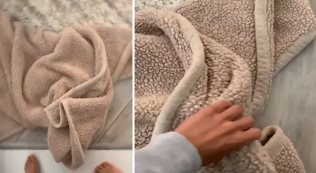 Perro enterneció a usuarios en las redes sociales. Perro enterneció a usuarios en las redes sociales.