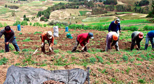 Los productores tienen como público objetivo los mercados de la capital de los distritos de Santa Anita, San Juan de Lurigancho, Independencia y Chorrillos. Los productores tienen como público objetivo los mercados de la capital de los distritos de Santa Anita, San Juan de Lurigancho, Independencia y Chorrillos.