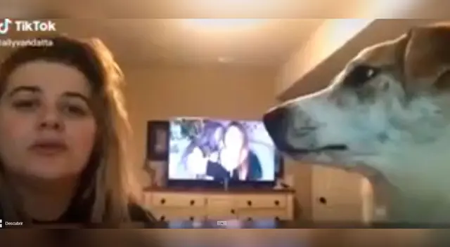 Video de perro se vuelve viral por divertida reacción.