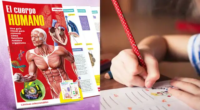 Coleccionable 'El cuerpo humano' será lanzado el 6 de julio.