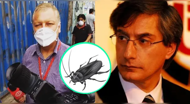 El reportero y el conductor de América Noticias tuvieron maneras diferentes de comentar el hecho durante divertido enlace. El reportero y el conductor de América Noticias tuvieron maneras diferentes de comentar el hecho durante divertido enlace.