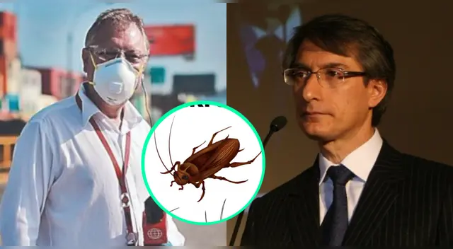 Mientras que Gunter Rave se mostró impresionado por el insecto, Federico Salazar le pidió por favor no mostrarlo a la cámara. Mientras que Gunter Rave se mostró impresionado por el insecto, Federico Salazar le pidió por favor no mostrarlo a la cámara.