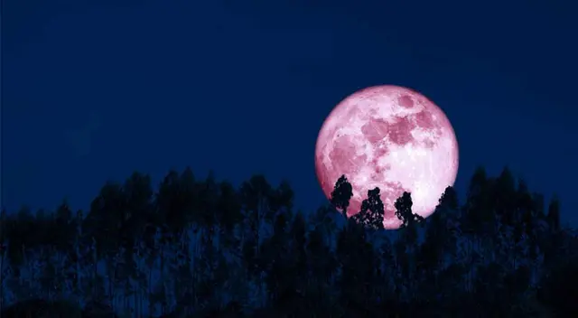 La Luna de fresa podrá verse este viernes 5 de junio. La Luna de fresa podrá verse este viernes 5 de junio.