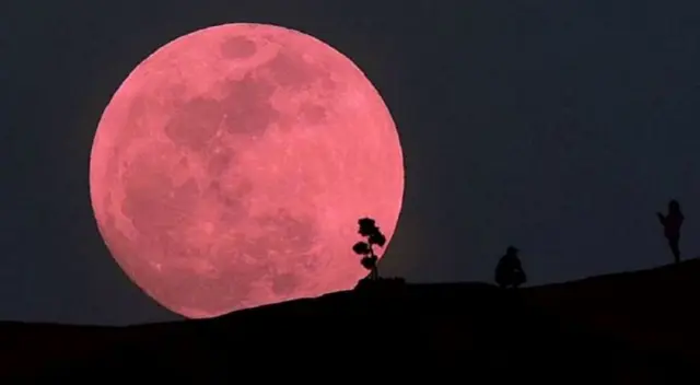 La Luna de fresa podrá verse este viernes 5 de junio. La Luna de fresa podrá verse este viernes 5 de junio.