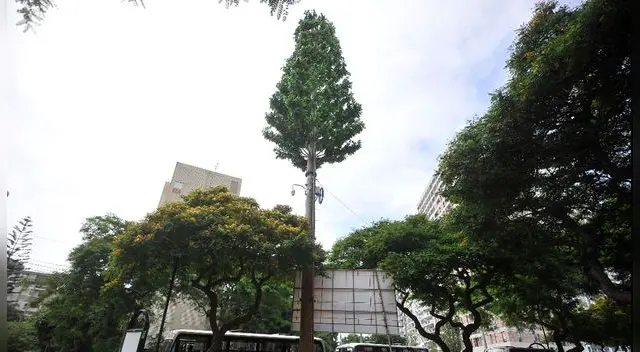 Inician construcción de antenas