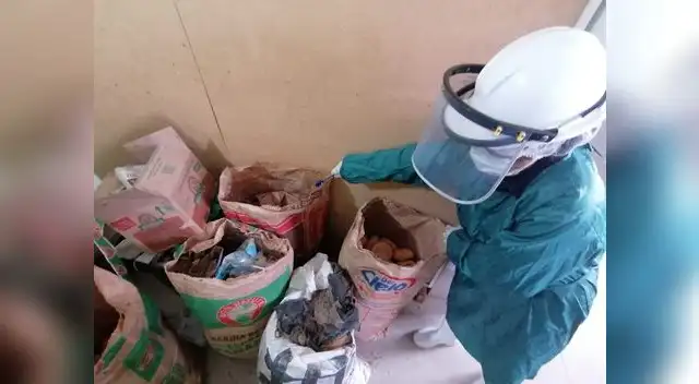 Panadería operaba en condiciones insalubres Panadería operaba en condiciones insalubres